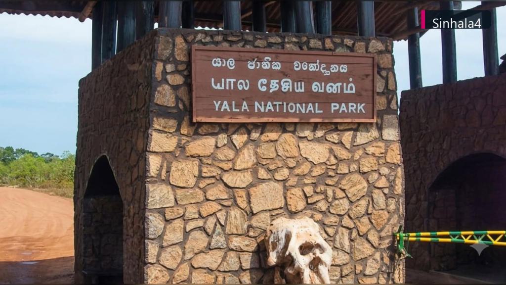 යාල වනෝද්යානයේ නීති උල්ලංඝනය කළ පිරිසක් අත්අඩංගුවට යාල වනෝද්යානයේ නීති උල්ලංඝනය කළ පිරිසක් අත්අඩංගුවට
