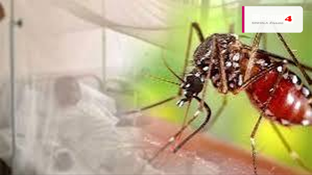 ඩෙංගු රෝගීන් ලක්ෂය ඉක්මවා යාමේ දැඩි අවදානමක් – සෞඛ්ය අංශවලින් රටටම රතු එළියක් ඩෙංගු රෝගීන් ලක්ෂය ඉක්මවා යාමේ දැඩි අවදානමක් - සෞඛ්ය අංශවලින් රටටම රතු එළියක්