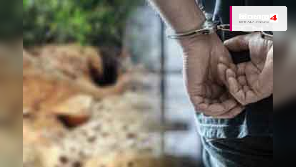 පුරාවස්තු සෙවීමට කැණීම් කළ පුද්ගලයෙකු දඹගල්ලේදී අත්අඩංගුවට පුරාවස්තු සෙවීමට කැණීම් කළ පුද්ගලයෙකු දඹගල්ලේදී අත්අඩංගුවට