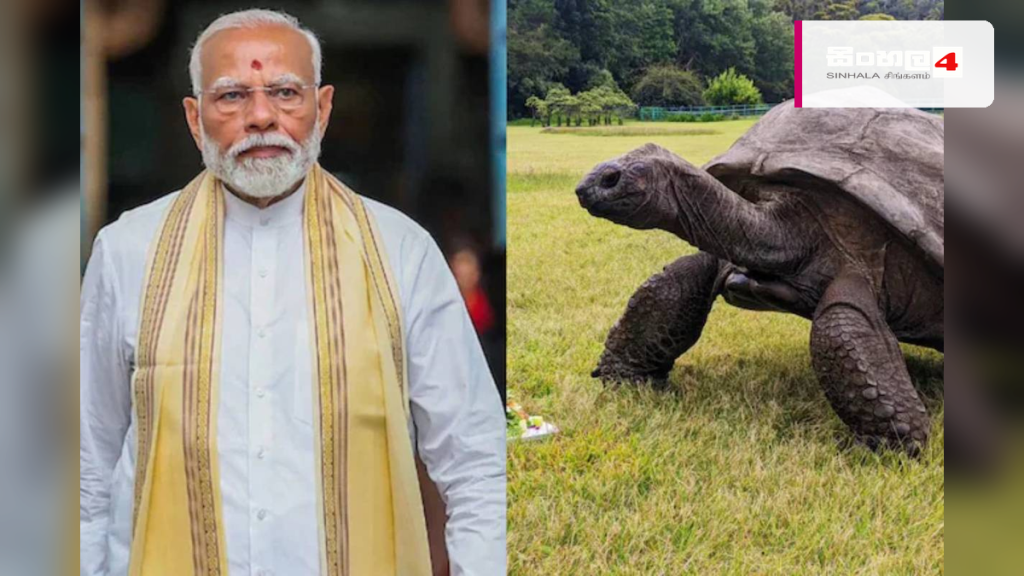 සීෂෙල්ස් සංචාරයක නිරත ඉන්දීය අගමැති මෝදි ලොව වයස්ගතම කැස්බෑවා හමුවෙයි සීෂෙල්ස් සංචාරයක නිරත ඉන්දීය අගමැති මෝදි ලොව වයස්ගතම කැස්බෑවා හමුවෙයි