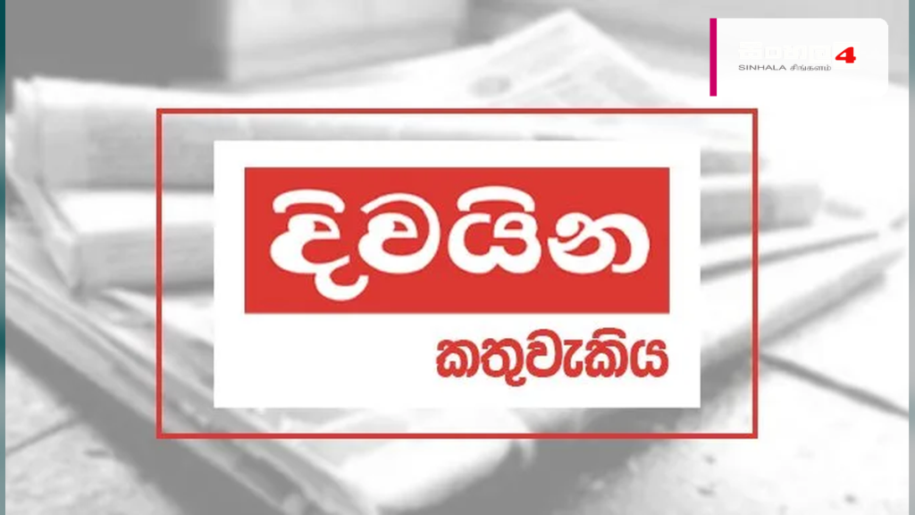 පාතාලයේ 'හරක් කටා' සහ මත්ද්‍රව්‍ය ජාවාරම පිටුපස ඇති සැඟවුණු සබඳතා