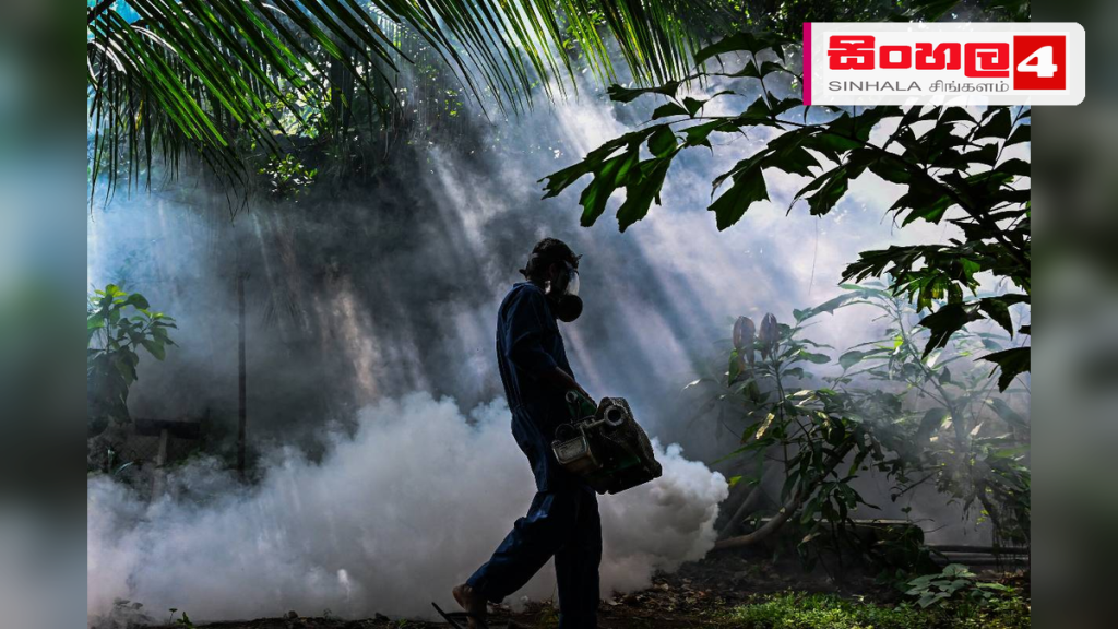 රට පුරා ඩෙංගු රෝගීන් 61,000 ඉක්මවයි: කොළඹ සහ ගම්පහ අවදානම් කලාප ලෙස හඳුනාගැනේ රට පුරා ඩෙංගු රෝගීන් 61,000 ඉක්මවයි: කොළඹ සහ ගම්පහ අවදානම් කලාප ලෙස හඳුනාගැනේ