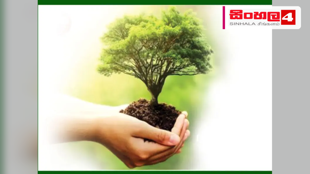 ජගත් වනාන්තර දිනය සමරමින් තවත් වනාන්තර 50ක් රක්ෂිත වනාන්තර ලෙස නම් කෙරේ ජගත් වනාන්තර දිනය සමරමින් තවත් වනාන්තර 50ක් රක්ෂිත වනාන්තර ලෙස නම් කෙරේ