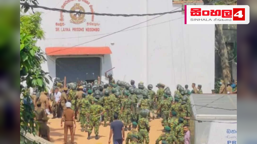 මීගමුව බන්ධනාගාර ගැටුම: මියගිය පිරිසගේ මරණ පරීක්ෂණ සඳහා විශේෂ වෛද්ය කණ්ඩායමක් මීගමුව බන්ධනාගාර ගැටුම: මියගිය පිරිසගේ මරණ පරීක්ෂණ සඳහා විශේෂ වෛද්ය කණ්ඩායමක්