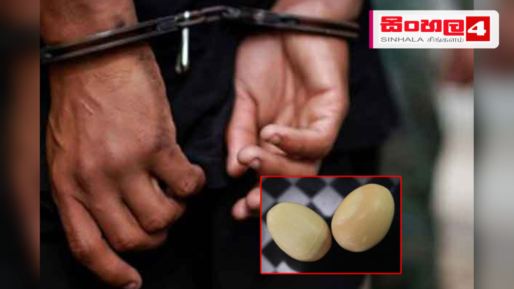 ගජමුතු දෙකක් විකිණීමට තැත් කළ තිදෙනෙක් කොළඹදී අත්අඩංගුවට ගජමුතු දෙකක් විකිණීමට තැත් කළ තිදෙනෙක් කොළඹදී අත්අඩංගුවට