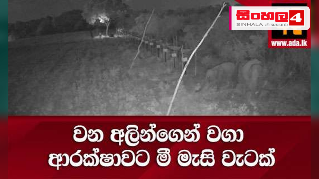 වන අලි තර්ජනයට විසඳුමක් ලෙස 'මී මැසි වැටක්' හඳුන්වා දෙයි