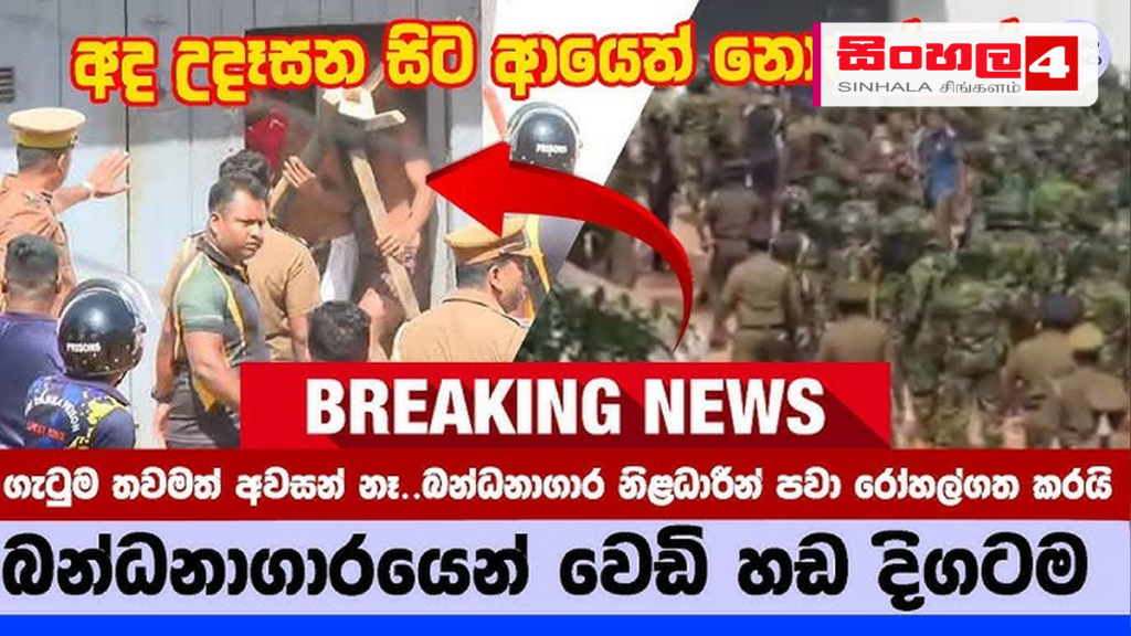 මීගමුව බන්ධනාගාරයේ සිදුවූ ඛේදවාචකය සහ දේශපාලන කරළිය මීගමුව බන්ධනාගාරයේ සිදුවූ ඛේදවාචකය සහ දේශපාලන කරළිය