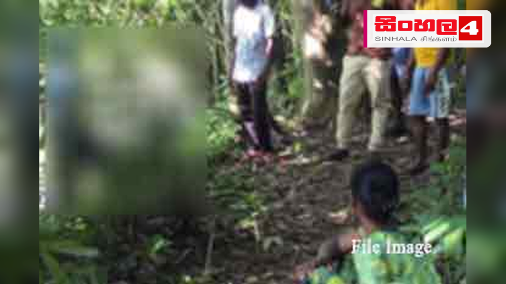 නොච්චියාගමදී මාළු අල්ලන්න ගිය පුද්ගලයෙකු දියේ ගිලී මියයයි