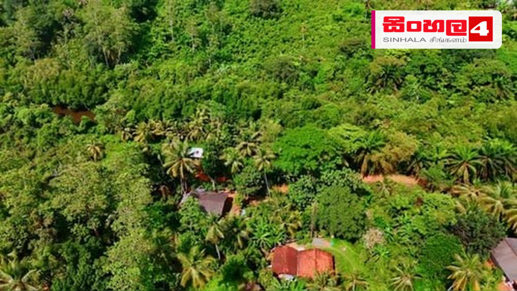 තුම්බිකුලම රක්ෂිතයේ ඉඩම් සංචාරක හෝටලයකට ලබා දීමට සැලසුම්