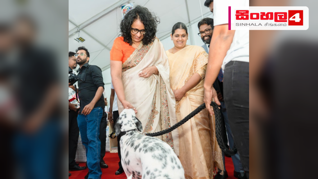 මාර්ග සතුන්ගේ ජීවිත රැක ගැනීම සැමගේම වගකීමක් - අගමැතිනි