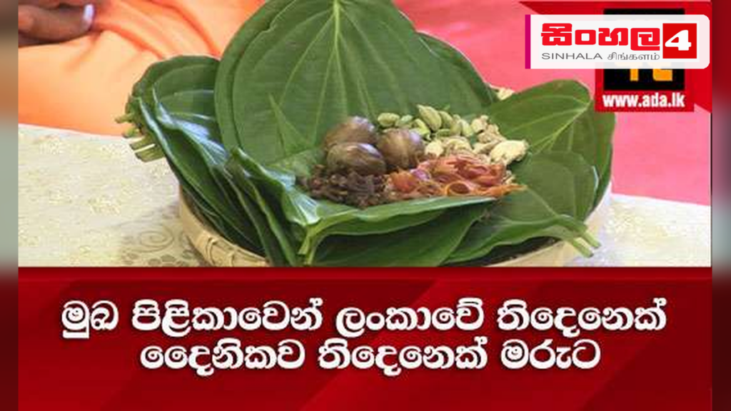 මුඛ පිළිකාවෙන් දිනකට තිදෙනෙකු මරුට: බුලත් විට සමඟ දුම්කොළ භාවිතය ගැන අනතුරු ඇඟවීමක්