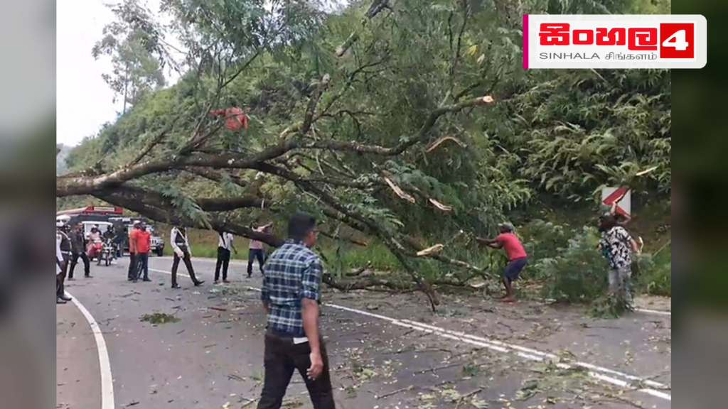 හැටන් – කොළඹ මාර්ගයේ ගසක් කඩා වැටෙයි: ගමනාගමනයට බාධා හැටන් - කොළඹ මාර්ගයේ ගසක් කඩා වැටෙයි: ගමනාගමනයට බාධා
