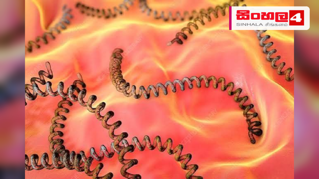 මී උණ අවදානම ඉහළට: රෝග ලක්ෂණ ගැන දැඩි අවධානයෙන් සිටින්න මී උණ අවදානම ඉහළට: රෝග ලක්ෂණ ගැන දැඩි අවධානයෙන් සිටින්න