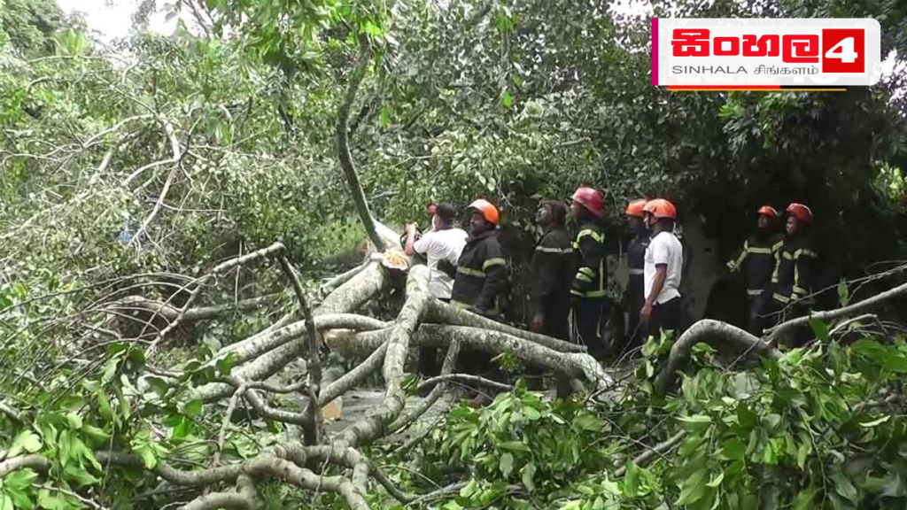 කරන්දෙණියේ දේවාලයකදී මී ගසක අත්තක් කඩා වැටී කාන්තාවක් ජීවිතක්ෂයට කරන්දෙණියේ දේවාලයකදී මී ගසක අත්තක් කඩා වැටී කාන්තාවක් ජීවිතක්ෂයට