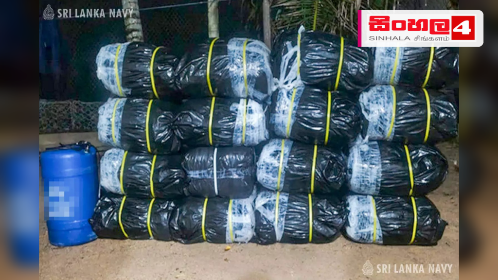 මීගමුව වෙරළ තීරයේ අතහැර දමා තිබූ බීඩි කොළ තොගයක් නාවික හමුදා භාරයට