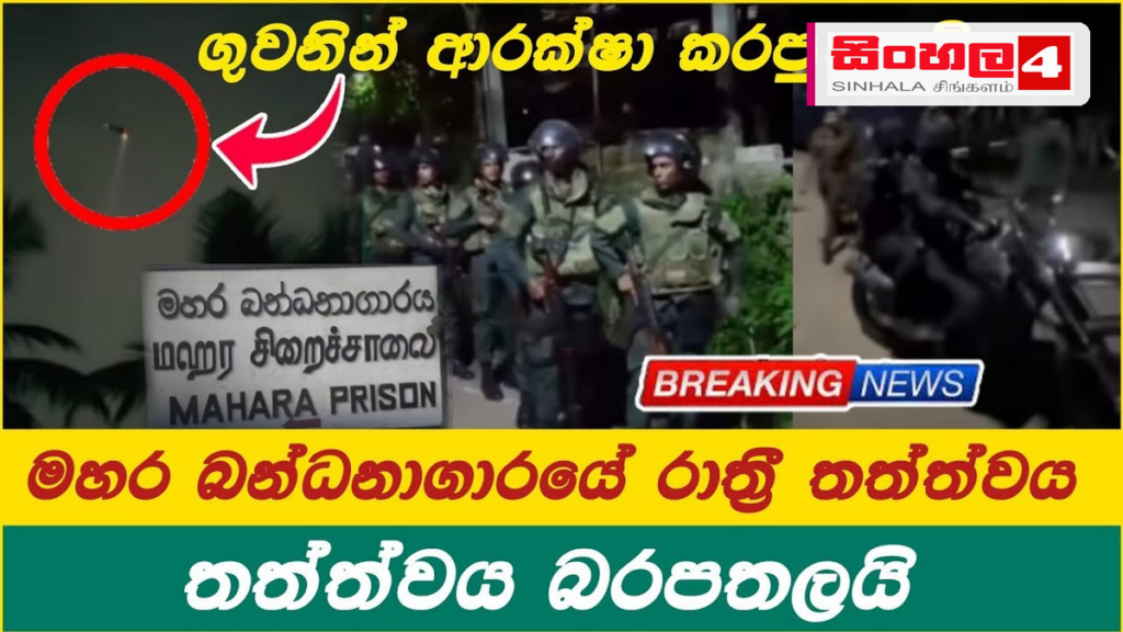 මහර බන්ධනාගාර සිද්ධිය: රස පරීක්ෂක නිරීක්ෂණ අද ඇරඹේ