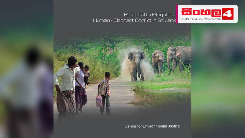 අලි - මිනිස් ගැටුම පාලනයට නව ජාතික සැලැස්මක්