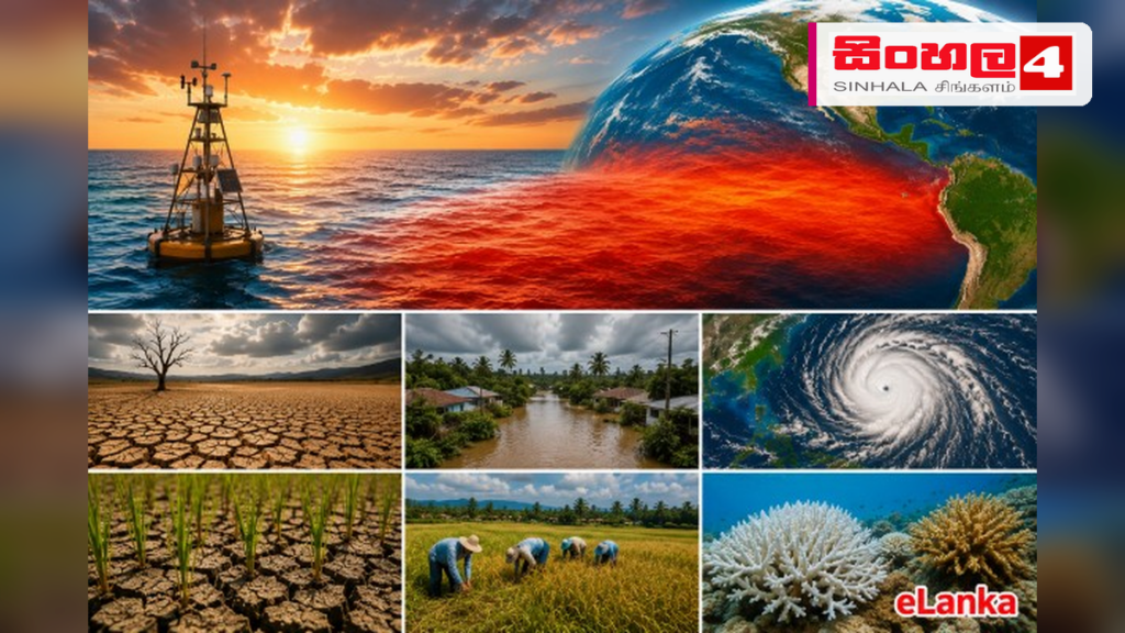 එල් නිනෝ බලපෑමෙන් ලෝක ආහාර සුරක්ෂිතතාවයට දැඩි තර්ජනයක්: මිලියන 49ක් උග්ර ආහාර අර්බුදයකට එල් නිනෝ බලපෑමෙන් ලෝක ආහාර සුරක්ෂිතතාවයට දැඩි තර්ජනයක්: මිලියන 49ක් උග්ර ආහාර අර්බුදයකට