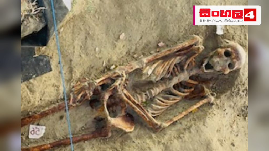 යාපනය සෙම්මණි සමූහ මිනීවළෙන් තවත් මිනිස් ඇටසැකිලි 8ක් හමුවේ