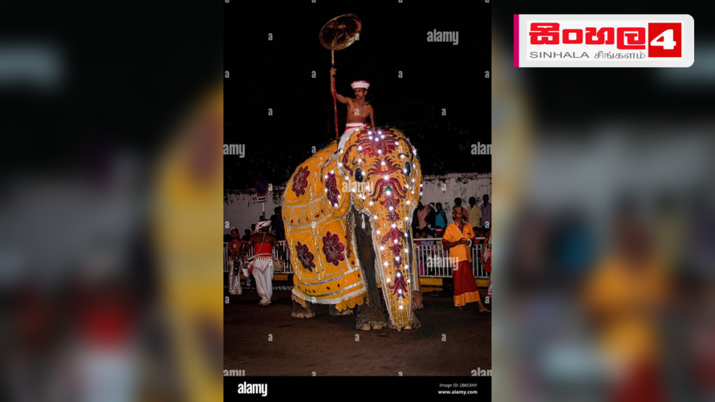 කොල්ලුපිටිය වාලුකාරාම ඇසළ පෙරහැර අද වීදි සංචාරය කරයි