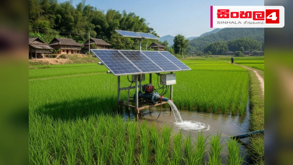 ත්රිකුණාමලයේ ගොවීන් 48 දෙනෙකුට සූර්ය බලශක්තියෙන් ක්රියාත්මක ස්මාර්ට් වාරි පද්ධති ත්රිකුණාමලයේ ගොවීන් 48 දෙනෙකුට සූර්ය බලශක්තියෙන් ක්රියාත්මක ස්මාර්ට් වාරි පද්ධති