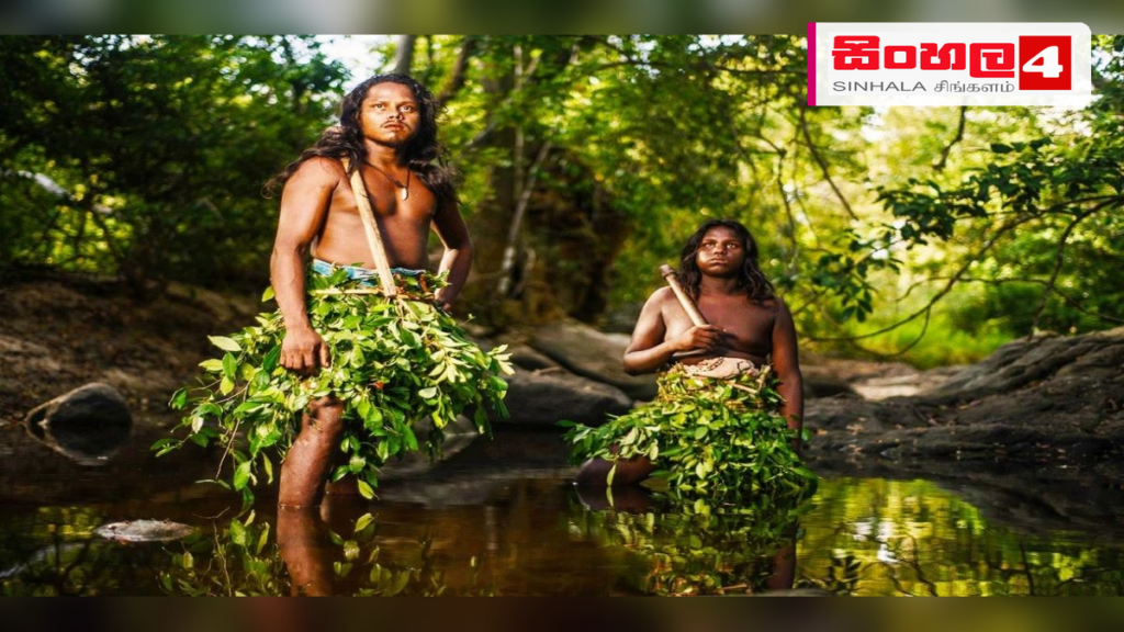 ජාත්‍යන්තර ආදිවාසී දිනයේදී මෙරට ආදිවාසීන්ට විශේෂ සහනයක්