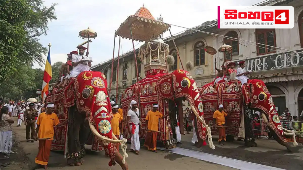 Headline: ගොතටුව සුරම්‍යාරාම පෙරහර හේතුවෙන් අද සවස රථවාහන ගමනාගමනයට බාධා Intended image subject: Sri Lankan Buddhist Perahera procession Story summary: ගොතටුව මාදින්නාගොඩ සුරම්‍යාර