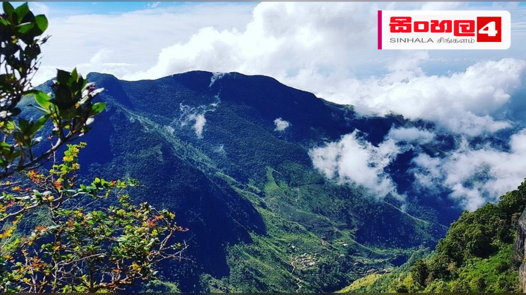 හෝර්ටන් තැන්නේ තිරසර පැවැත්ම වෙනුවෙන් නව පියවර රැසක් Headline: හෝර්ටන් තැන්නේ තිරසර පැවැත්ම වෙනුවෙන් නව පියවර රැසක් Intended image subject: Horton Plains National Park landscape Story summary: හෝර්ටන් තැන්න ජාතික වනෝද්යානයේ සංවේදී ප