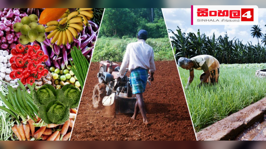 පළතුරු වගාකරුවන් වෙනුවෙන් නව රක්ෂණ යෝජනා ක්රමයක් Headline: පළතුරු වගාකරුවන් වෙනුවෙන් නව රක්ෂණ යෝජනා ක්රමයක් Intended image subject: A farmer working in a fruit plantation Story summary: පළතුරු වගාවන්හි සිදුවන හානි ආවරණය කිරීම සඳ