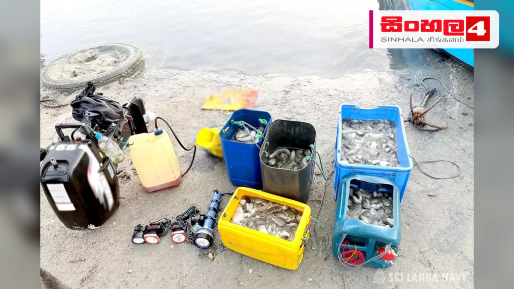 යාපනයේදී නීතිවිරෝධී මුහුදු කූඩැල්ලන් තොගයක් සමඟ තිදෙනෙකු අත්අඩංගුවට Headline: යාපනයේදී නීතිවිරෝධී මුහුදු කූඩැල්ලන් තොගයක් සමඟ තිදෙනෙකු අත්අඩංගුවට Intended image subject: Sri Lanka Navy personnel conducting a search operation Story summary: යාපනය කු