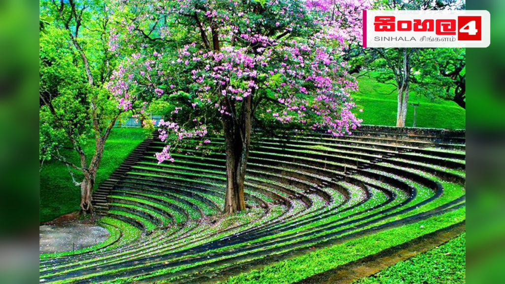 සමාජ මාධ්යයේ සංසරණය වන වීඩියෝවක් සම්බන්ධයෙන් පේරාදෙණිය විශ්වවිද්යාලයෙන් පැහැදිලි කිරීමක් Headline: සමාජ මාධ්යයේ සංසරණය වන වීඩියෝවක් සම්බන්ධයෙන් පේරාදෙණිය විශ්වවිද්යාලයෙන් පැහැදිලි කිරීමක් Intended image subject: Peradeniya University main entrance Story summary: සමාජ