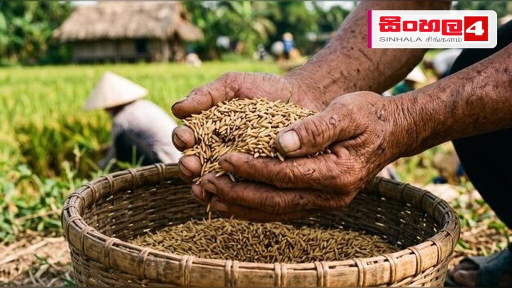 Headline: ලෝක ආහාර දිනය අද: බඩගින්නෙන් තොර හෙටක් උදෙසා අපේ වගකීම Intended image subject: World Food Day conceptual image featuring agriculture and food security Story summary: අදට